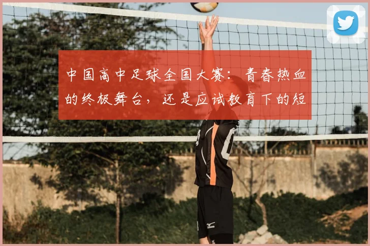中国高中足球全国大赛:青春热血的终极舞台,还是应试教育下的短暂喘息?